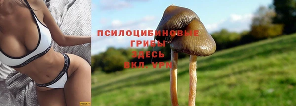 mdpv Нефтекумск