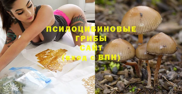 бутират Надым