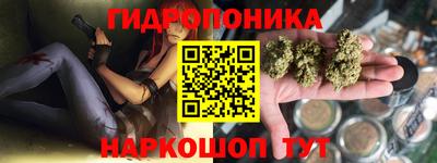 шишки Абинск