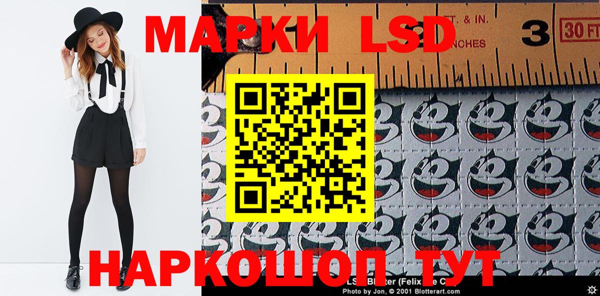 Галлюциногенные грибы Заинск