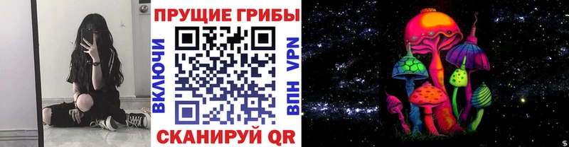 Галлюциногенные грибы ЛСД Заинск