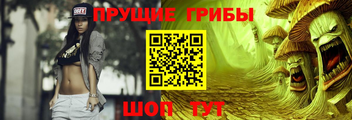 Псилоцибиновые грибы мицелий  дарнет шоп  Заинск  Галлюциногенные грибы MAGIC MUSHROOMS  Вход с VPN 