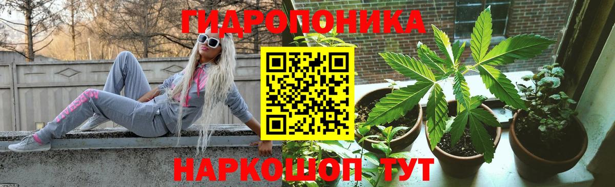 Заинск  МАРИХУАНА Amnesia  Канабис сатива  Бошки марихуана индика  Вход с VPN 